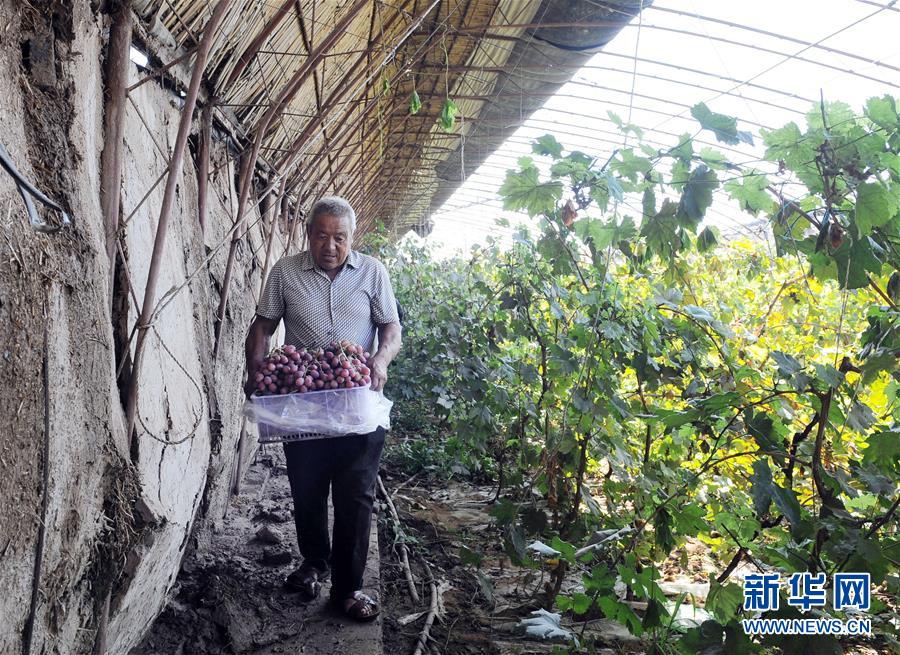 （寧夏60年）（5）寧夏中衛(wèi)：科學(xué)治沙顯成效