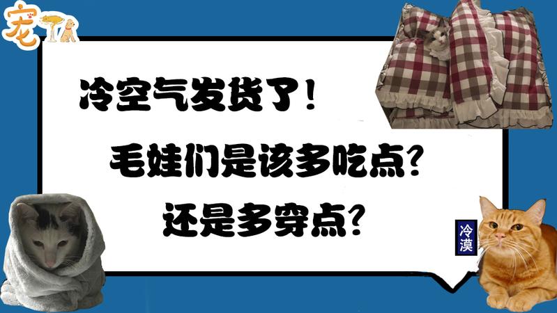 冷空氣發(fā)貨了！毛娃們是該多吃點還是多穿點？