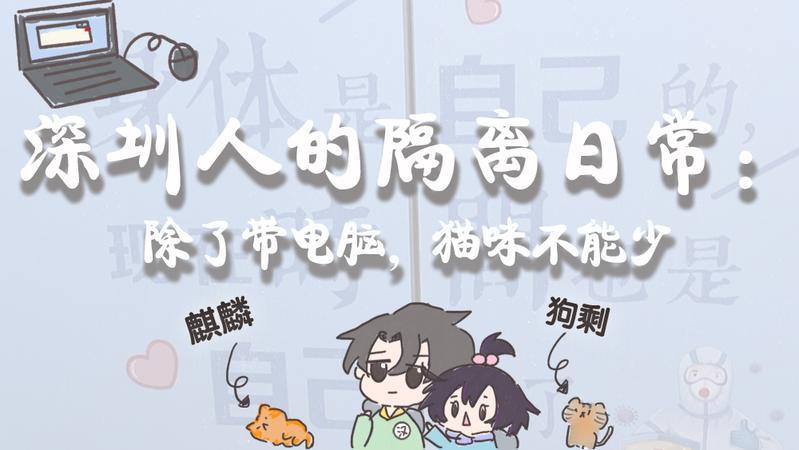 寵TA丨深圳人的隔離日常：除了帶電腦，貓咪不能少